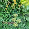 دیوار سبز مصنوعی برای بچه ها
